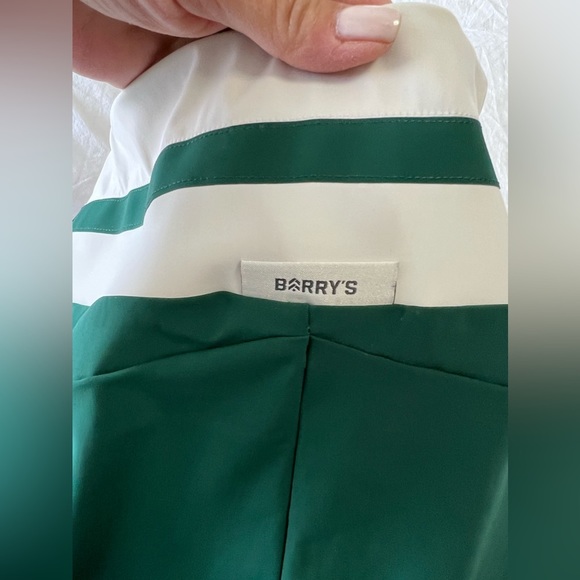 VAARA | RARE Green Flo Tuxedo Striped Leggings | Size Large. - Picture 3 of 10